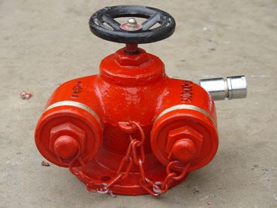 水泵接合器止回阀更换分享展示