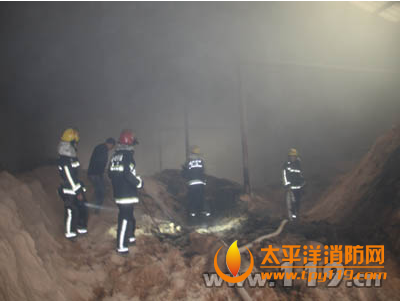 嘉兴一木粉厂仓库起火