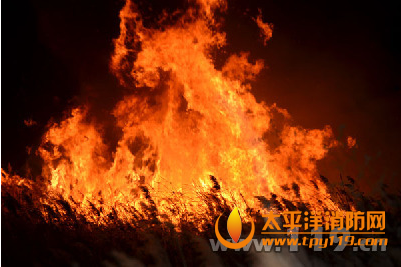 榆林市芦苇荡起火,消防4小时扑救