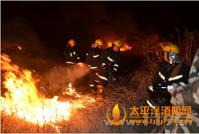 榆林市芦苇荡起火,消防4小时扑救