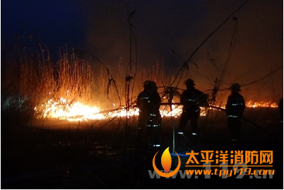 苏州市一基地芦苇荡大火