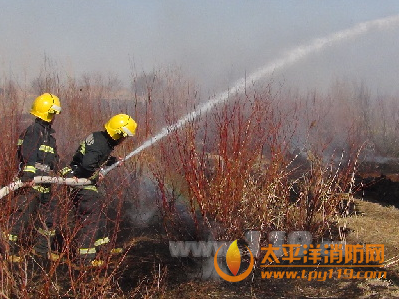 吉木萨尔县200亩红柳芦苇被火吞噬