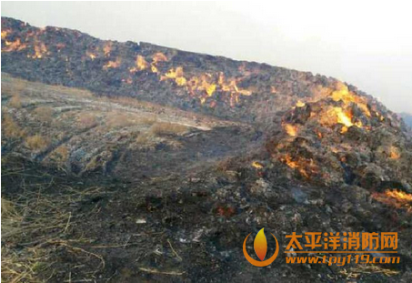 黑龙江大庆一育苇厂起火
