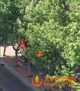 威海市一公交车起火