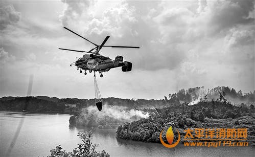 森林消防直升机正协同地面进行灭火作业。