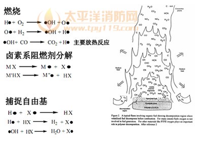 图8 卤系阻燃剂在气相捕捉自由基实现阻燃反应示意图